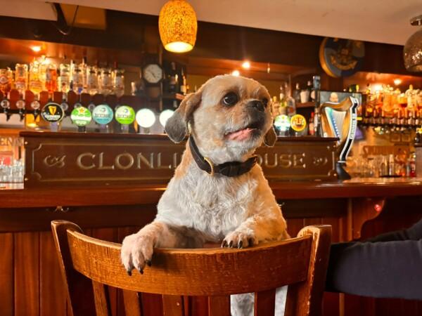 Best Sports Bars in Ballybough - Clonliffe House